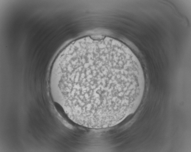 X0000081371248200702082338