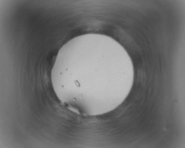 X0000081371250200702082337