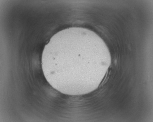 X0000081371252200702082337