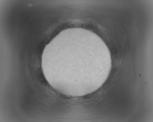 X0000081371253200702082337