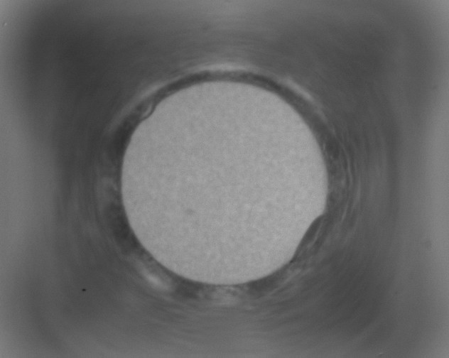 X0000081371255200702082337