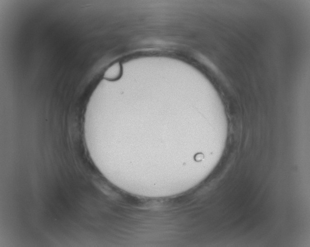 X0000081371259200702082337