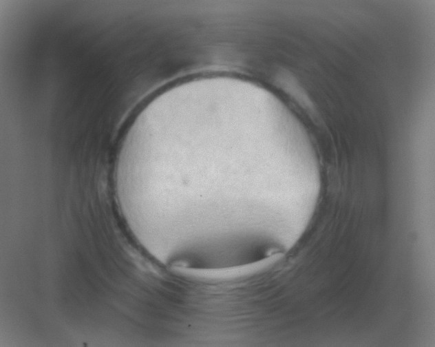 X0000081371260200702082337