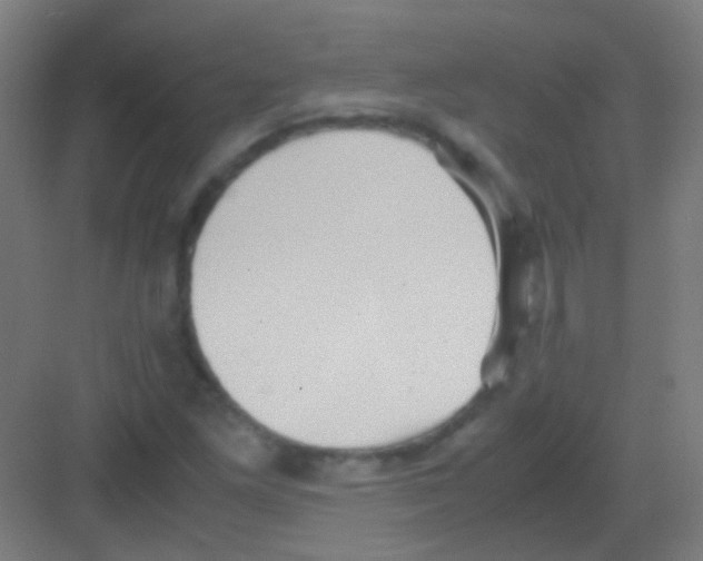 X0000081371261200702082337