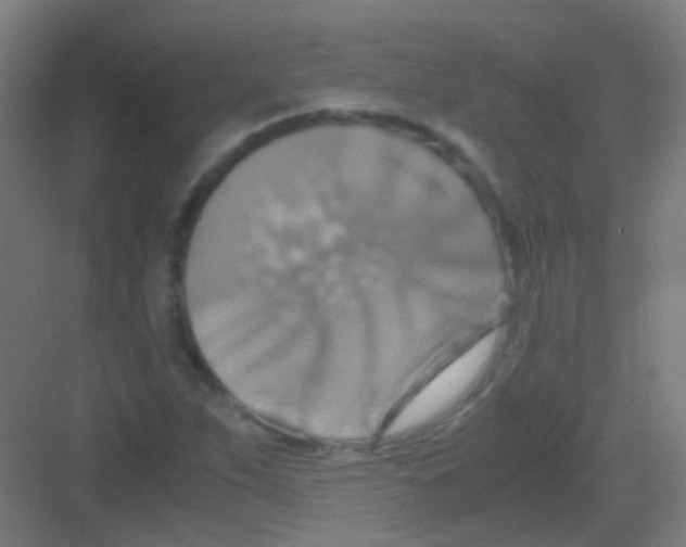 X0000081371263200702082337