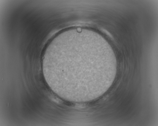 X0000081371267200702082337