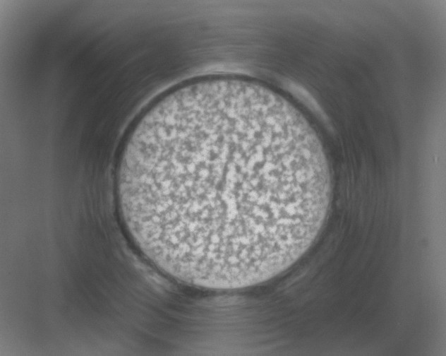 X0000081371268200702082337