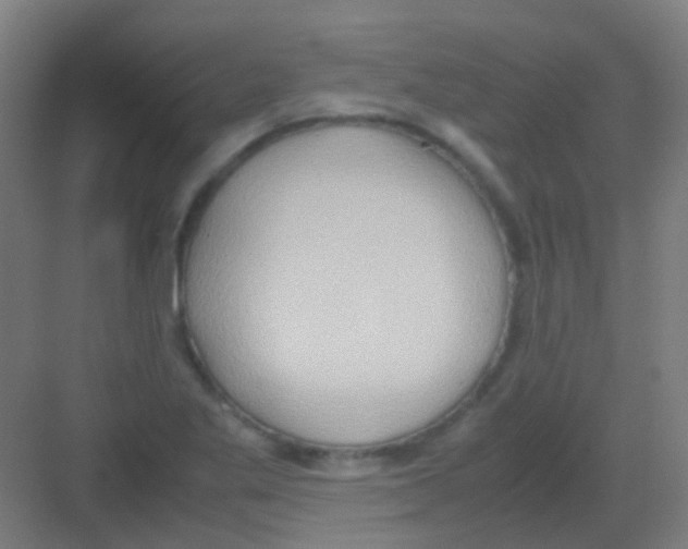 X0000081371269200702082337