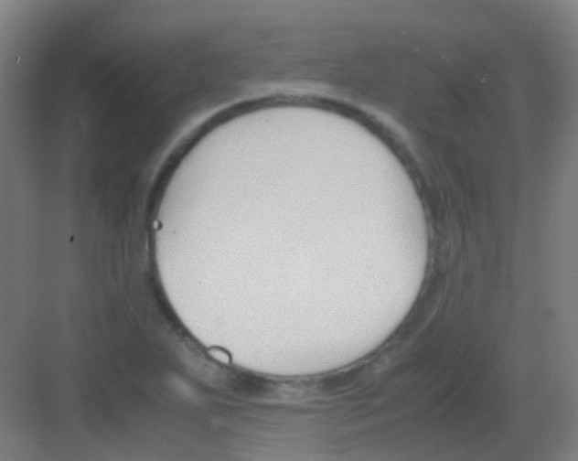 X0000081371271200702082337