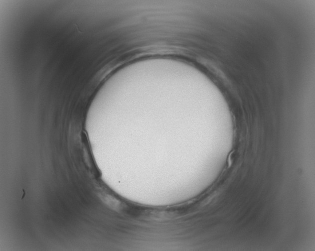 X0000081371273200702082337