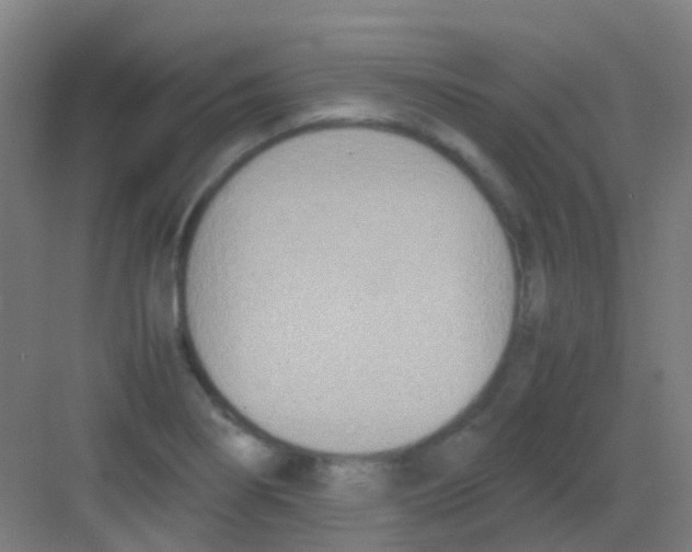 X0000081371274200702082337