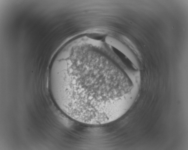 X0000081371276200702082337