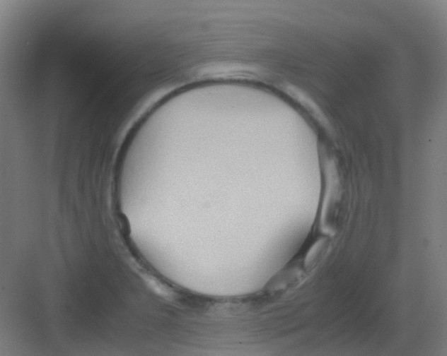 X0000081371277200702082337