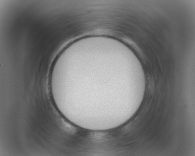 X0000081371278200702082337