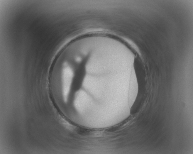 X0000081371279200702082337