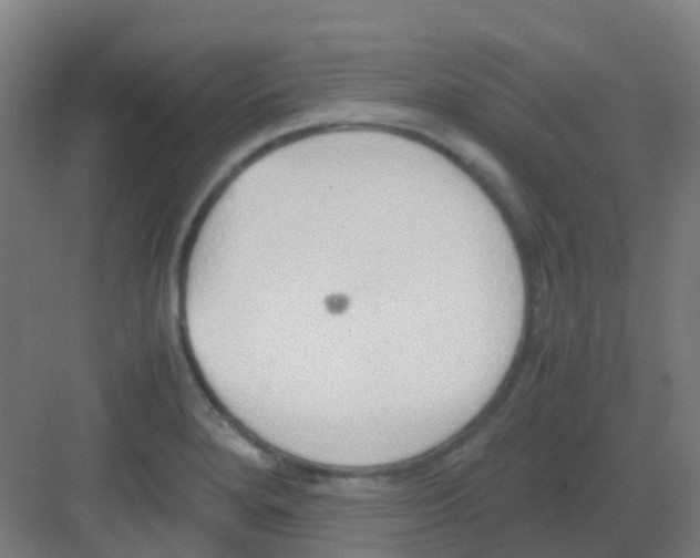 X0000081371280200702082337