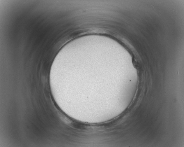 X0000081371281200702082337