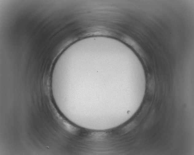 X0000081371282200702082337