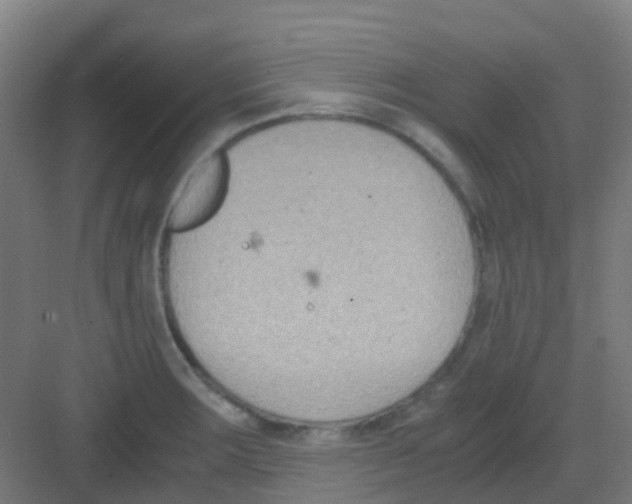 X0000081371283200702082337