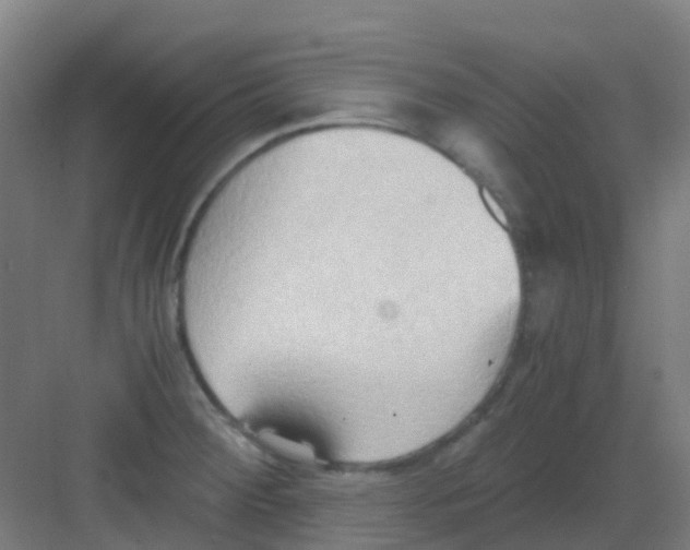 X0000081371284200702082337