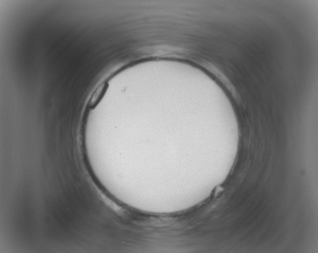 X0000081371285200702082337