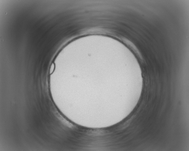 X0000081371288200702082336