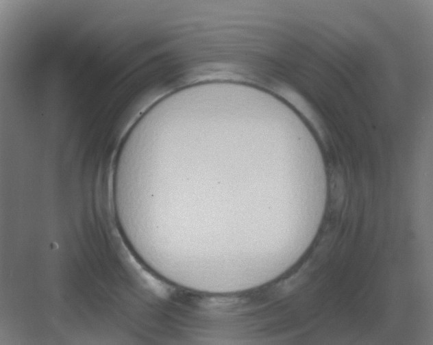 X0000081371290200702082336