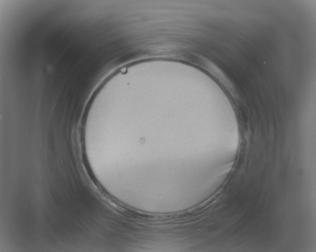 X0000081371291200702082336