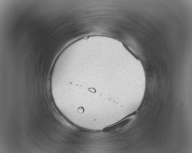 X0000081371292200702082336