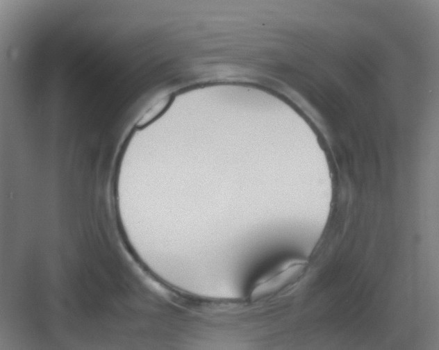 X0000081371293200702082336