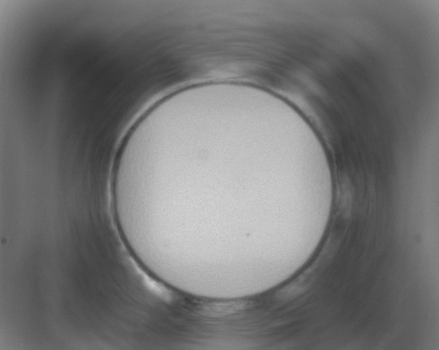 X0000081371294200702082336