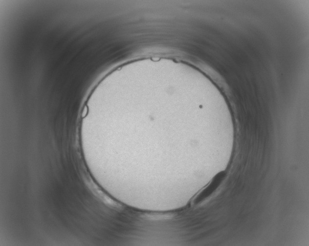 X0000081371296200702082336