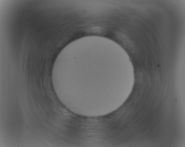 X0000081371297200702082336