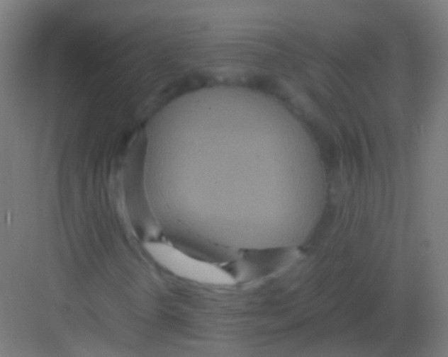 X0000081371298200702082336