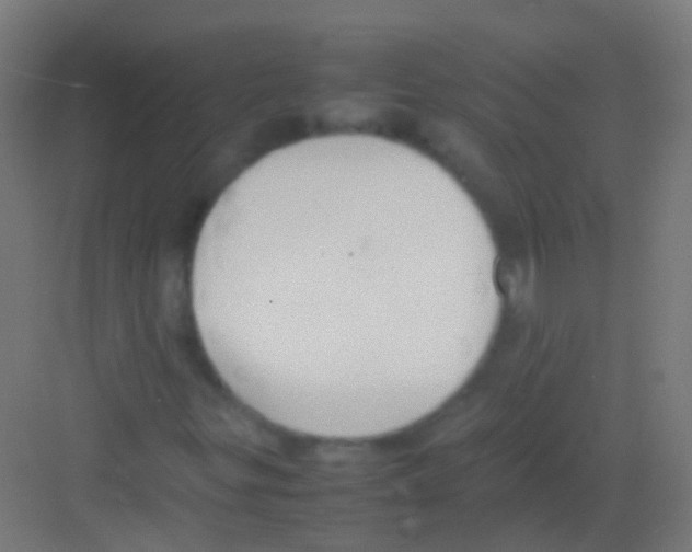 X0000081371299200702082336