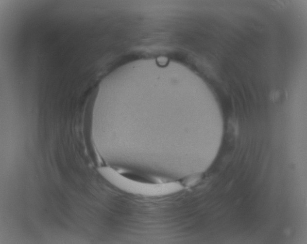 X0000081371300200702082336