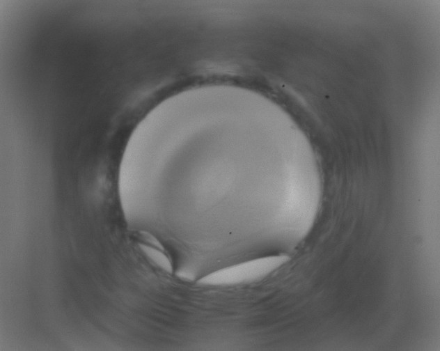 X0000081371303200702082336