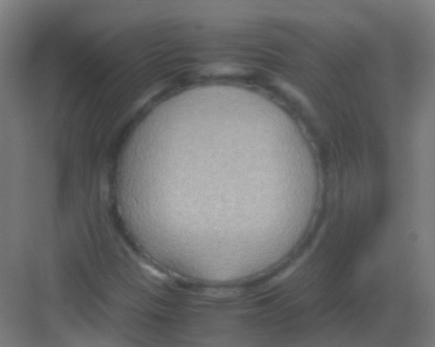 X0000081371305200702082336