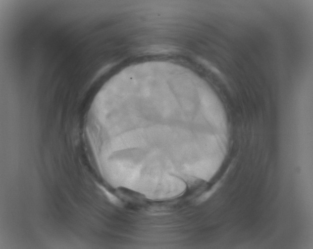 X0000081371306200702082336