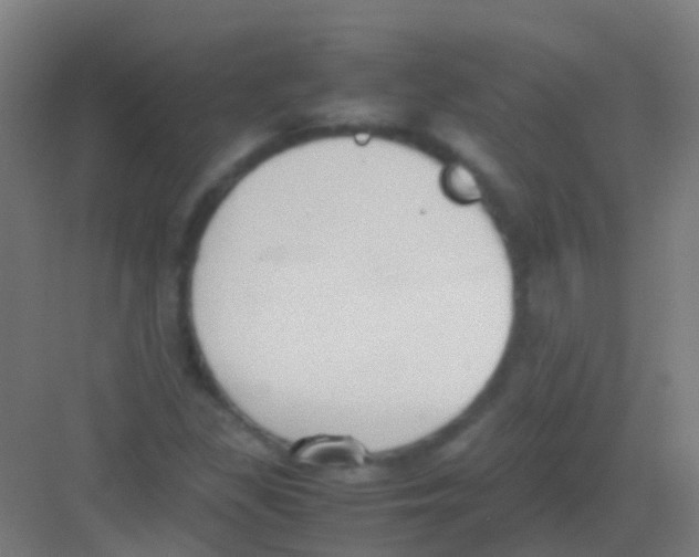 X0000081371309200702082336