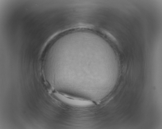 X0000081371310200702082336