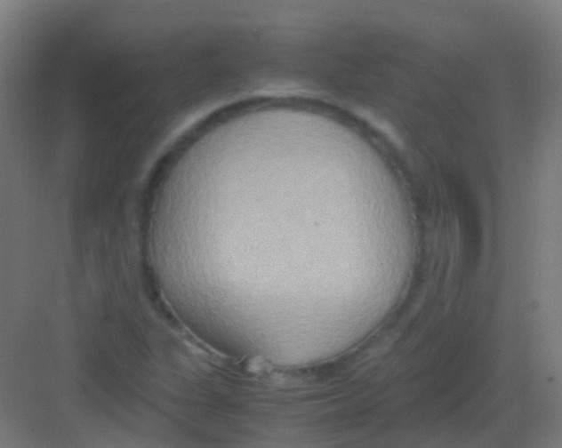 X0000081371311200702082336