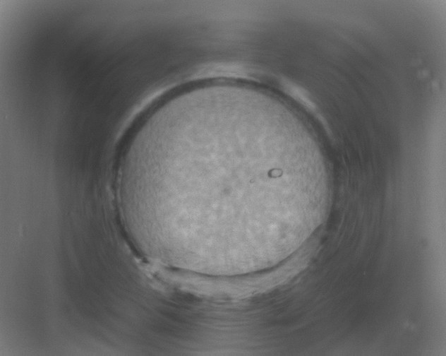 X0000081371312200702082336