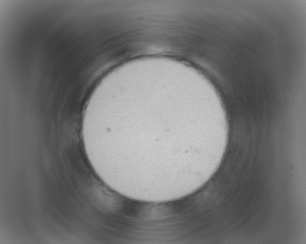 X0000081371314200702082336