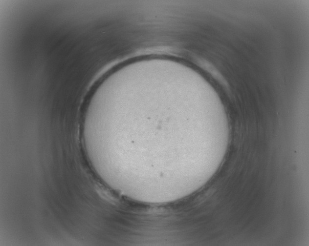 X0000081371316200702082336