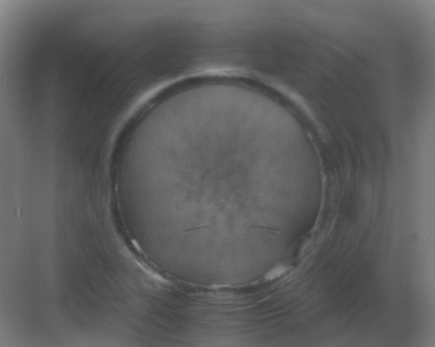 X0000081371319200702082336