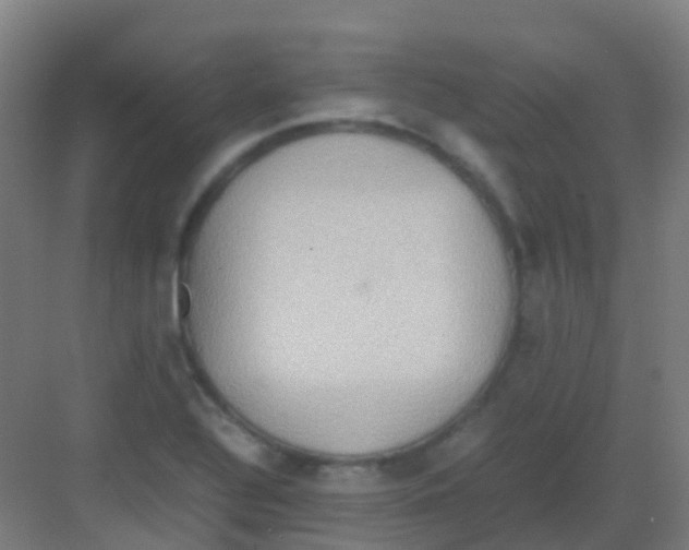 X0000081371320200702082336