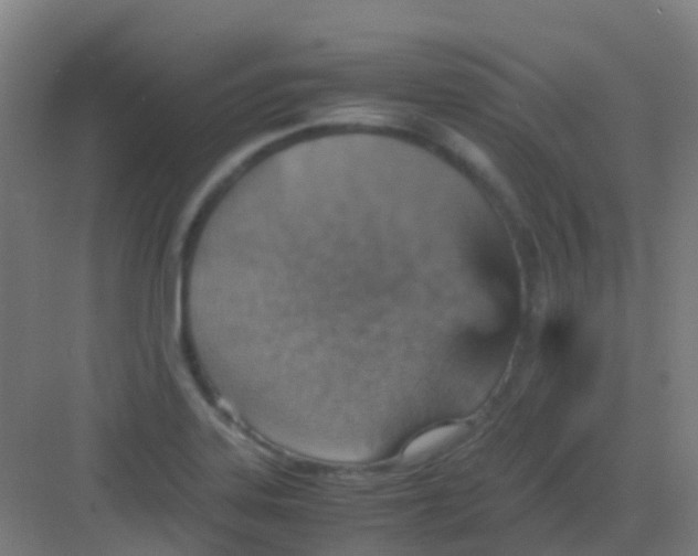 X0000081371323200702082336