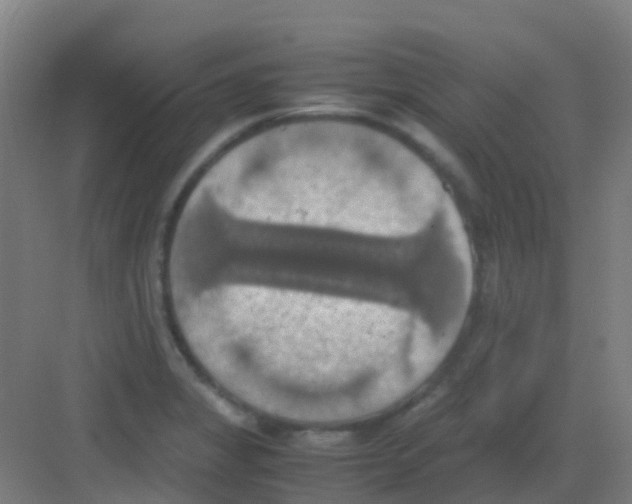 X0000081371325200702082336