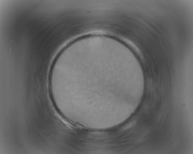 X0000081371327200702082336